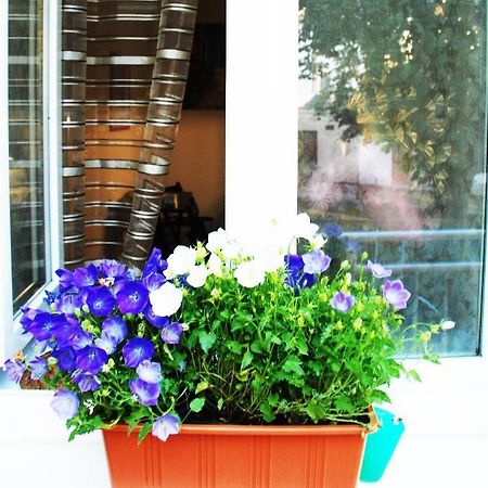 Apartment 5 Min By Walk To The Center เบอร์โน ภายนอก รูปภาพ