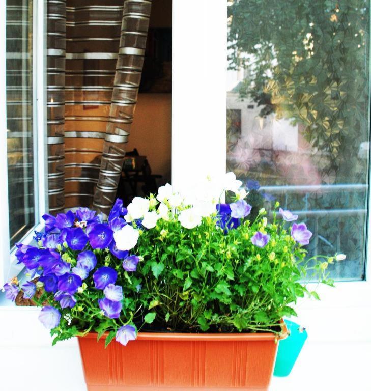 Apartment 5 Min By Walk To The Center เบอร์โน ภายนอก รูปภาพ
